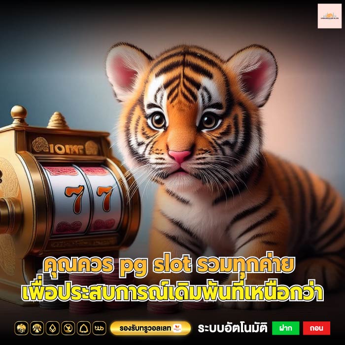คุณควร pg slot รวมทุกค่าย เพื่อประสบการณ์เดิมพันที่เหนือกว่า